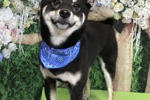 5月のお友達☆