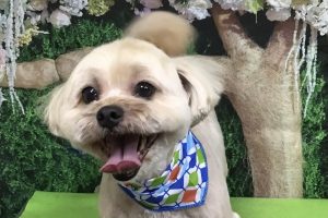 5月のお友達☆