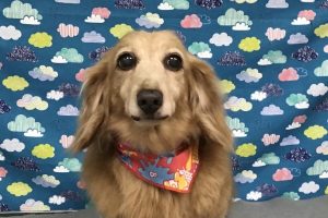 6月のお友達☆