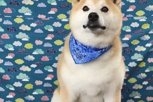 6月のお友達☆
