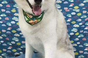 6月のお友達☆