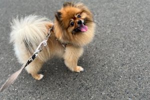 お泊まり中☆
