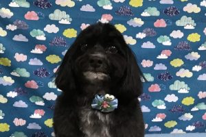 6月のお友達☆