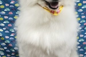 6月のお友達☆