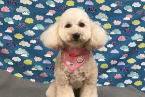 6月のお友達☆