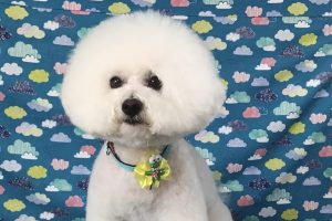 6月のお友達☆