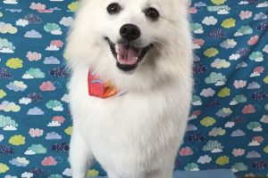 6月のお友達☆