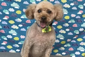 6月のお友達☆