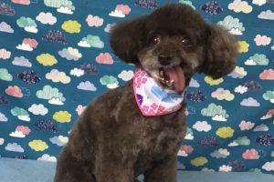 6月のお友達☆