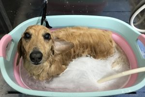 6月のお友達☆