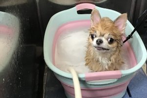 6月のお友達☆
