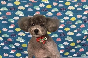 6月のお友達☆