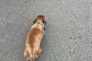 お泊まり中☆