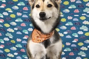 6月のお友達☆