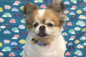6月のお友達☆