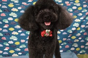 6月のお友達☆