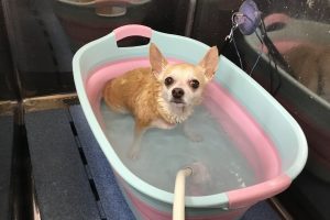 6月のお友達☆
