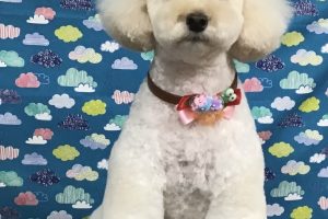 6月のお友達☆