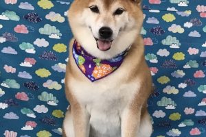 6月のお友達☆