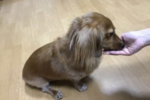 お泊まり☆