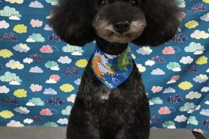 6月のお友達☆