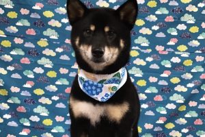 6月のお友達☆