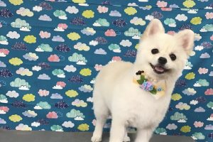 6月のお友達☆