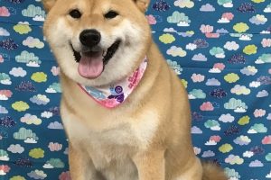 6月のお友達☆