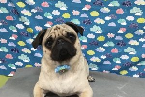 6月のお友達☆