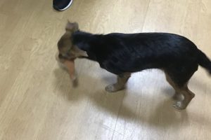 お泊まり中☆