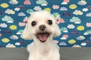 6月のお友達☆