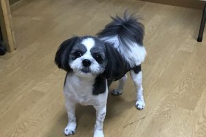 お泊まり中☆