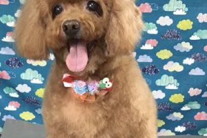 6月のお友達☆