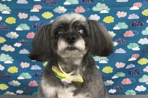 6月のお友達☆
