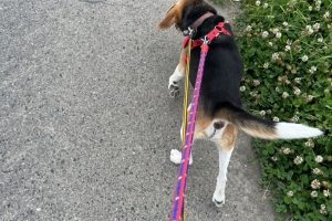 お泊まり中☆