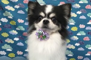 6月のお友達☆