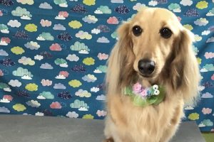 6月のお友達☆