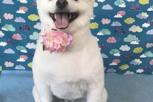 6月のお友達☆