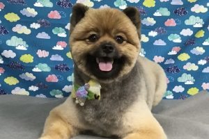 6月のお友達☆