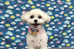 6月のお友達☆