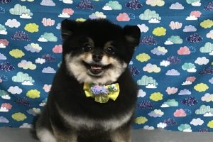 6月のお友達☆