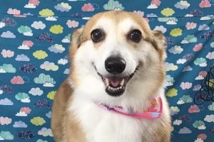 6月のお友達☆