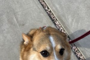 お泊まり中☆