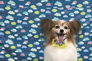 6月のお友達☆