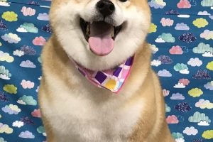 6月のお友達☆