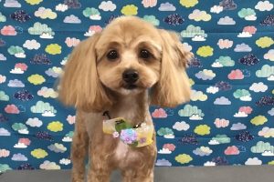 6月のお友達☆