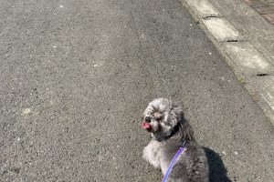 お泊り中☆