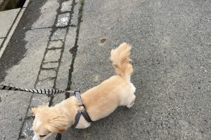 お泊まり中☆