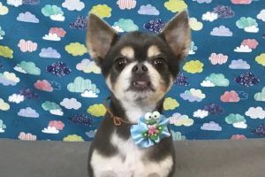 6月のお友達☆