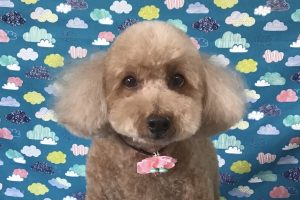 6月のお友達☆